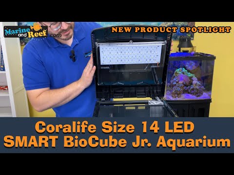 New Product Spotlight - Coralife Size 14 LED SMART BioCube Jr. Aquarium