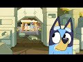 The incredible plot depth of Bluey's Flat Pack episode