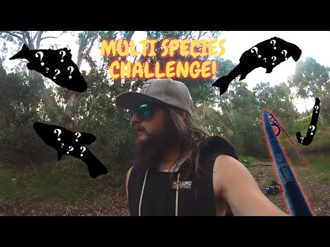 The Ultimate Multi Species Challenge - Was It Completed? #freshwater #fishing #natives #local #aus