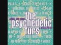 The Psychedelic Furs - Soap Commercial (Live)