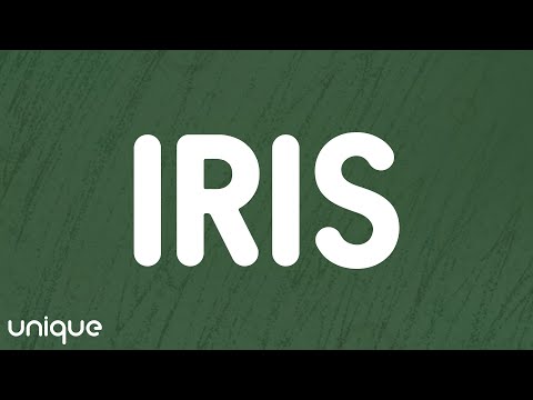 Goo Goo Dolls - Iris