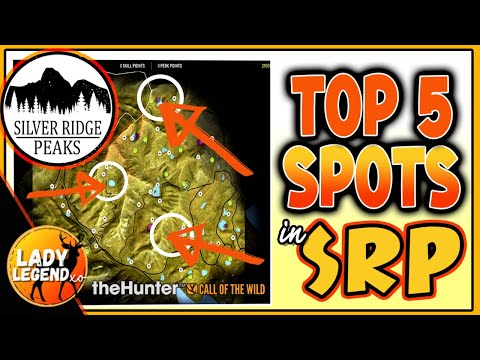 TOP 5 Best HOT SPOTS in Silver Ridge Peaks - Call of the Wild