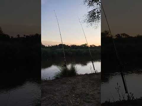 pesca en Marcos Juárez Córdoba con mi mejor amigo y hijo Diógenes