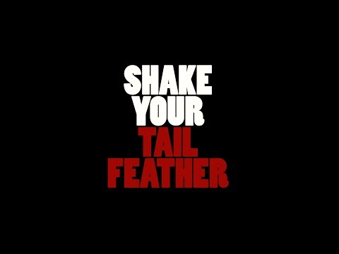 Introducing Shake Your Tail Feather