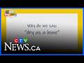 Dry as a bone! | Why Do We Say That?