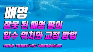 스윔 드릴 마스터 수영 - 잘못 된 배영 팔의 입수 위치와 교정 방법