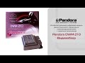 Модуль PANDORA DWM 210 