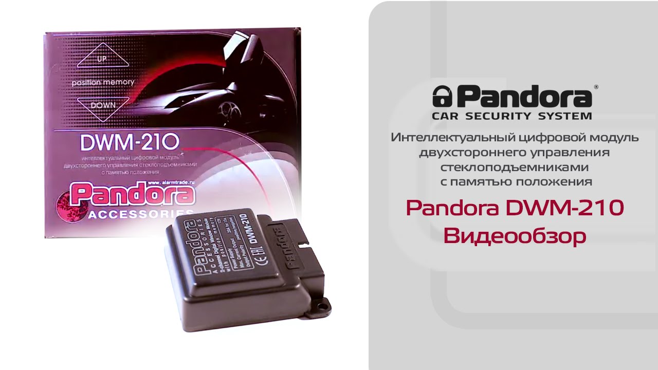 Модуль PANDORA DWM 210 