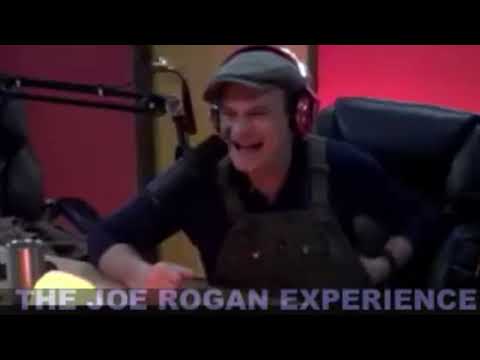 Joe Rogan Experience #333   David Lee Roth