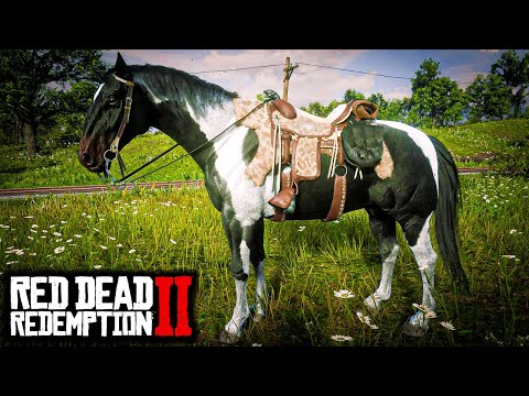 ESSE CAVALO VAI LHE CUSTAR CARO! MESTIÇOS HÚNGAROS (O COMPÊNDIO pt. 9) - RED DEAD REDEMPTION 2