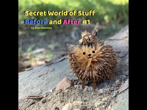 Secret World of Stuff - Before and After #1