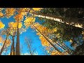 Lover - Waltz! Arthur Fiedler & The Boston Pops!