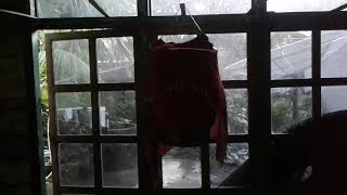 Download lagu Suara Anakan Srigunting Sulawesi Mulai Gacor mp3 Download lagu Suara Anakan Srigunting Sulawesi Mulai Gacor mp3