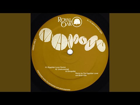 Freak with U (Egyptian Lover Instrumental)