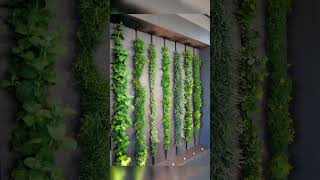 &quot;Suspended Serenity wall hanging plants #Floral Fantasy increase beauty of your home