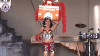 preview picture of video 'Desfile Traje de Fantasia Elección Señorita CETACH No.2 2013'