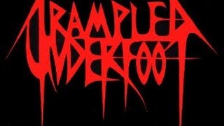 Trampled Under Foot  I Didn't Try