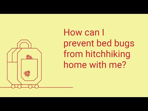 How Can I Prevent Bed Bugs from Hitchhiking into My Home?