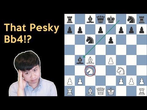 The Pesky Bb4 against the Smith Morra Gambit