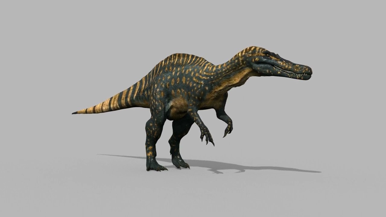 Suchomimus animado real - 8K Modelo 3D