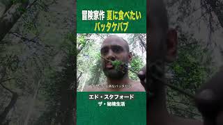 #shorts 残暑に食べたいバッタケバブ (ディスカバリーチャンネル)