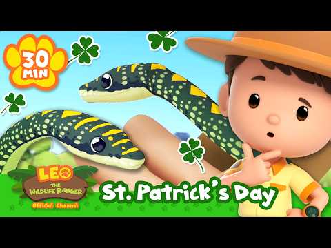 Learn about Animals and Wildlife for St. Patrick's Day! | Leo the Wildlife Ranger | Kids Cartoons - Kids TV Series, Kingdom Kids Zone - Leo the Wildlife Ranger - Official Channel