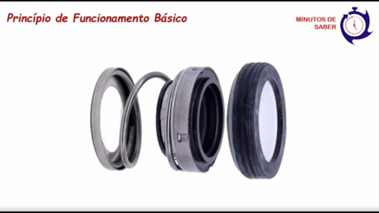 Selo Mecânico Tipo 21 -  Funcionamento Básico