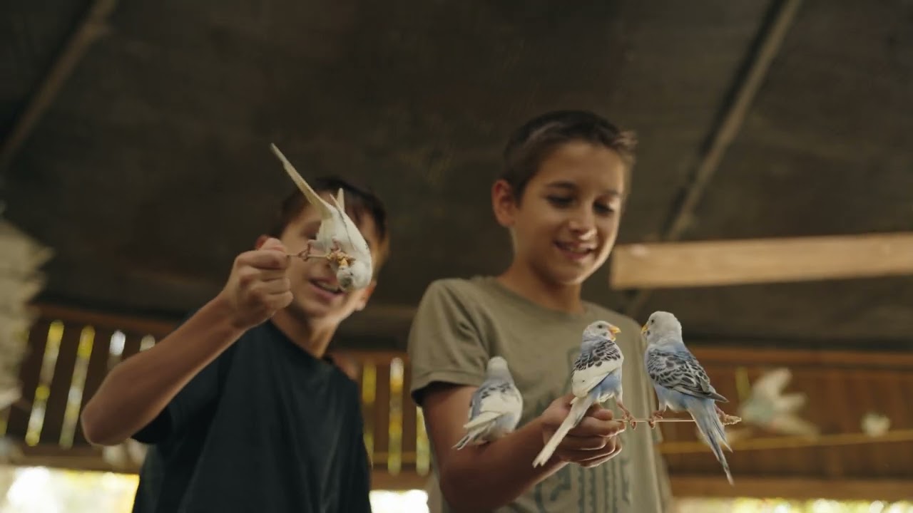 Zoosiana (Zoo Of Acadiana)