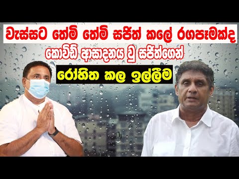 වැස්සට තෙමුන සජිත්ට රෝහිතගෙන් පිළිතුරු|Rohitha answers Sajith who was soaking wet in the rain | news