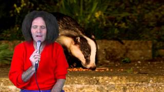 Gilbert O'Sullivan - I Wish I Could Cry (Stop The Badger Cull)