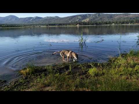 Ashira running in slow motion