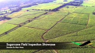 preview picture of video 'SugarCane Fields UAV Aerial Video Showcase'