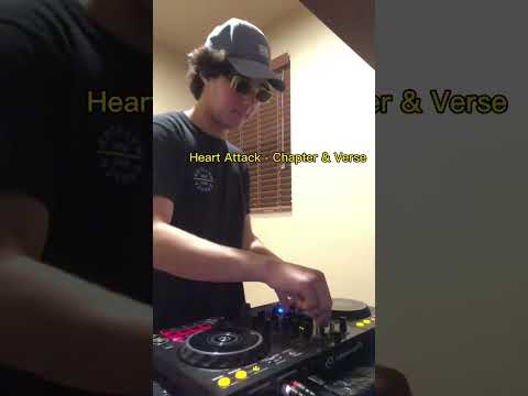 Tech House + Pitbull! #shorts #fun #live #youtubeshorts #dj #pitbull #crazy #best #legend # edm