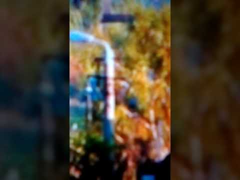 P3645 Bratca Oradea cu o compunere specială și cu mecanic de milioane.     25.09.2012