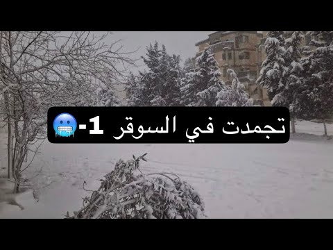 Vlog6   🥶 -1 الجزائر : بين مدينة السوقر و غرداية
