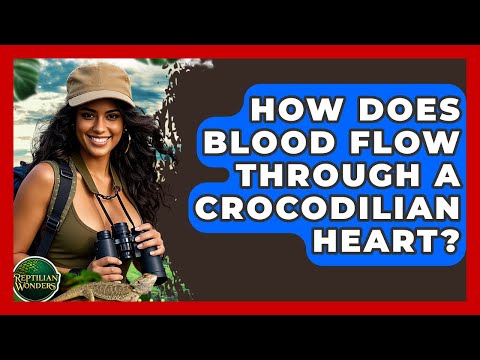 How Does Blood Flow Through A Crocodilian Heart? - Reptilian Wonders