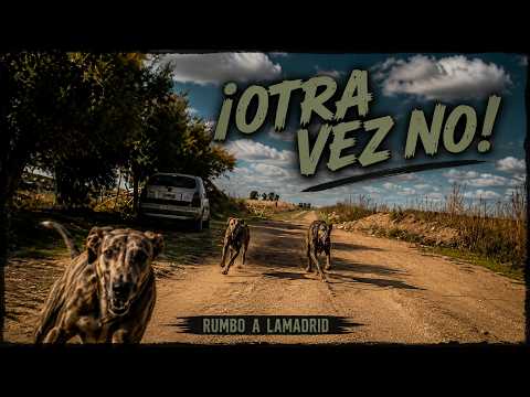 Visitas que valen el viaje.