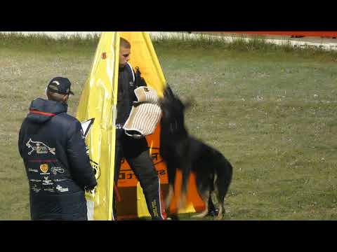 WUSV 2021 USA 5 - ALAN BARTELSON & FALCO MORAVIA GO HA C 81