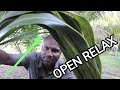 OPEN PLACE ASMR Coconut Leave Tingles Relax Your Mind