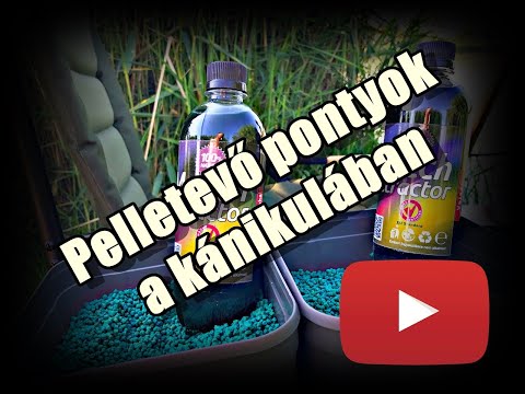 Pelletevő kánikulai pontyok - nyár közepi methodozás Akasztón