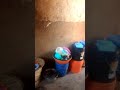 Malaya WA Kanda