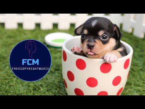 La Casa de Papel   Berlin   Ti Amo Chris Robleda RemixFHC Remix