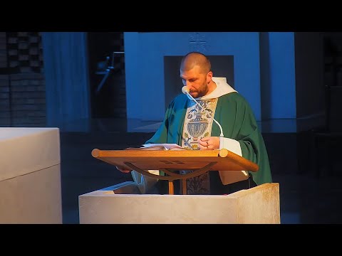 WSZYSTKO wykorzystane dla dobra – o. Krzysztof Pałys OP, 30.07.2023 (17. niedziela zwykła, rok A)