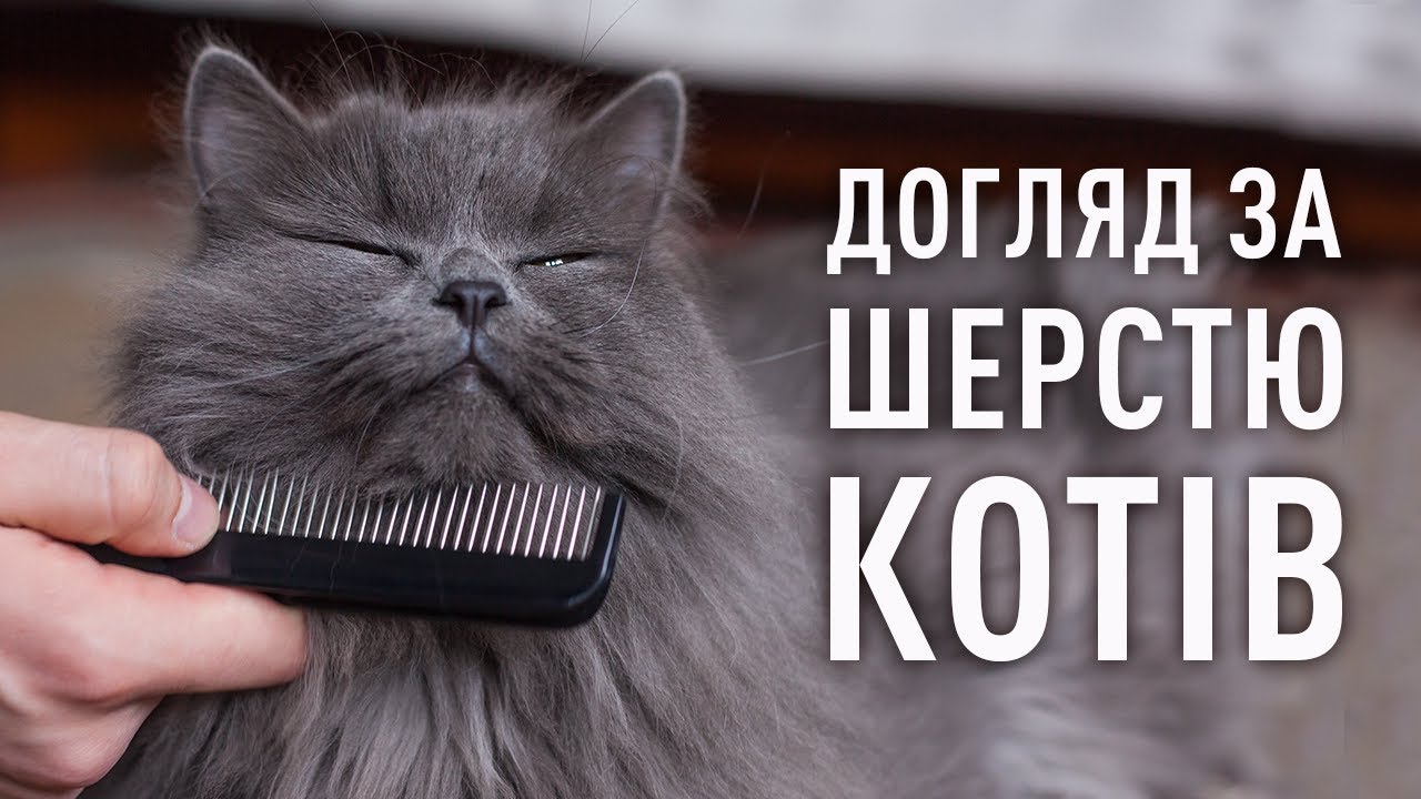 YouTube video preview