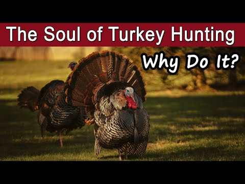 The Heart & Soul of Turkey Hunting – Why Do People Hunt Spring Gobblers?