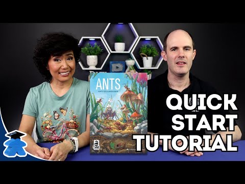 Ants - Start Playing in 15 minutes - Concise How to Play. A Board Game Tutorial