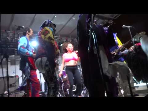 Original P Funk Parliament Funkadelic Live in Concert Benton Harbor, MI 5/21/2014 Part 4 of 4