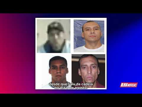 POLICE SEARCH FOR CRIMINAL WHO IS STEALING CARS ON THE ISLAND | ILHA NEWS BULLETIN