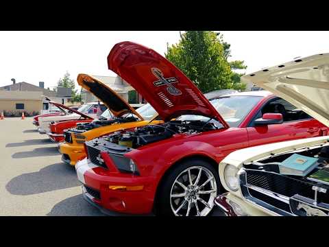 1st Annual Dublin A.M. Rotary Classic Car Show