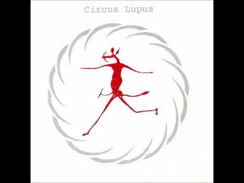 circus lupus - pop man